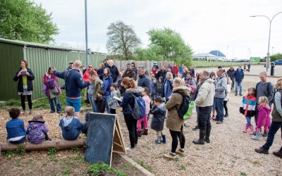 Discovering the Bay for May Day – Beach, Bugs & Bones 2017 Creates a Buzz!